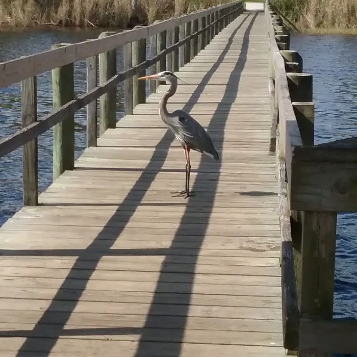 Crescent Lake Waterfront Community 9