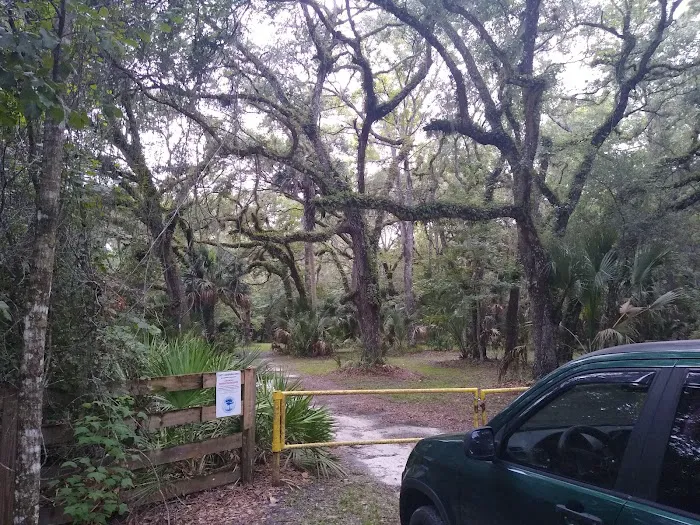 Lake George Jumping Gully Campsite of St Johns River WMD 3
