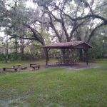 Lake George Jumping Gully Campsite of St Johns River WMD