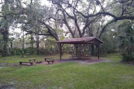 Lake George Jumping Gully Campsite of St Johns River WMD