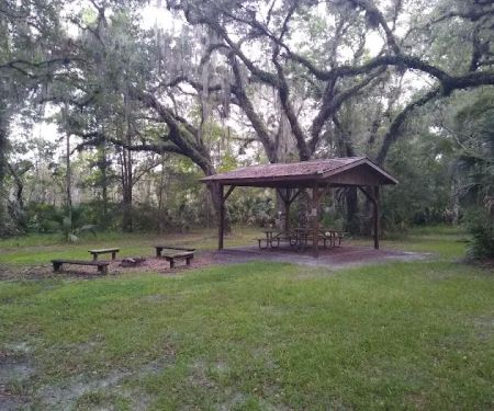 Lake George Jumping Gully Campsite of St Johns River WMD