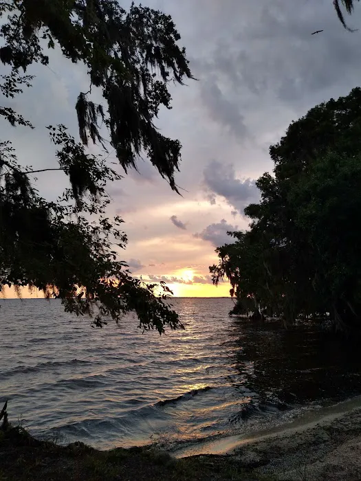 Lake George Barrs Hammock Campsite of St Johns River WMD 1