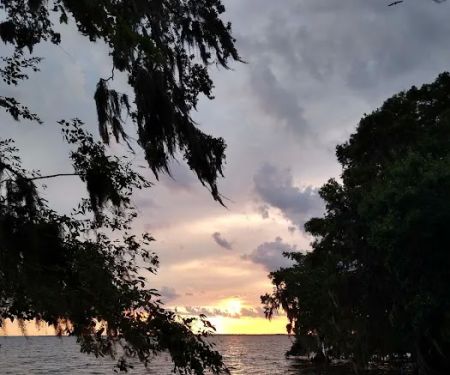 Lake George Barrs Hammock Campsite of St Johns River WMD