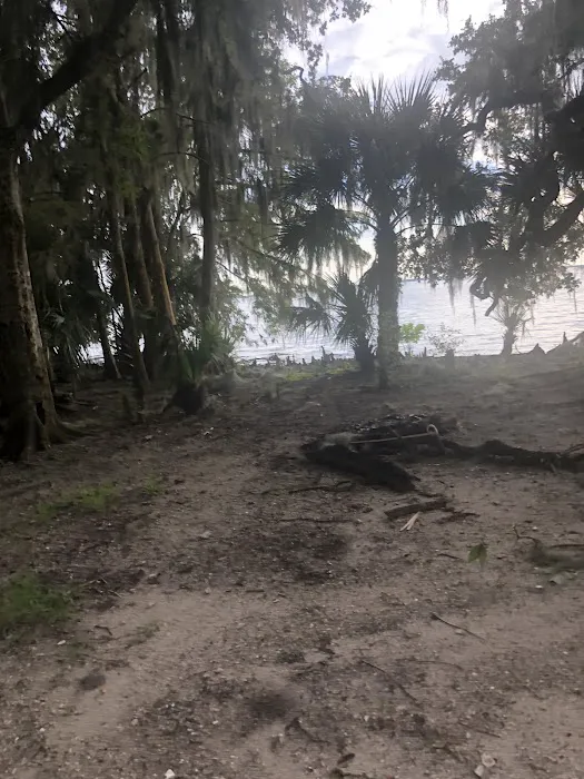 Lake George Barrs Hammock Campsite of St Johns River WMD 5