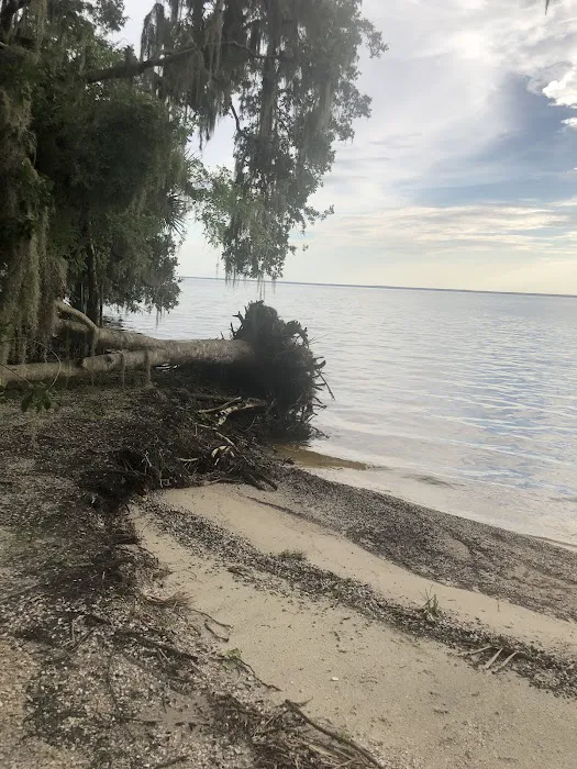 Lake George Barrs Hammock Campsite of St Johns River WMD 6