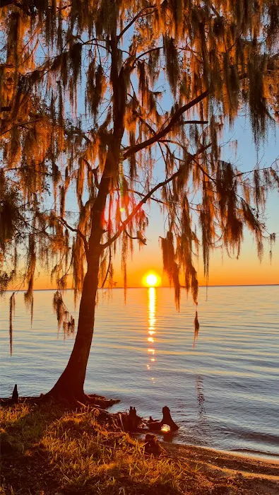 Lake George Barrs Hammock Campsite of St Johns River WMD 10