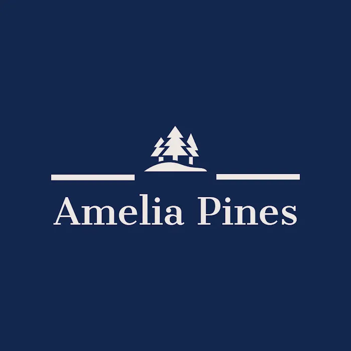 Amelia Pines MHP 1