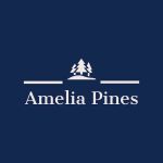 Amelia Pines MHP