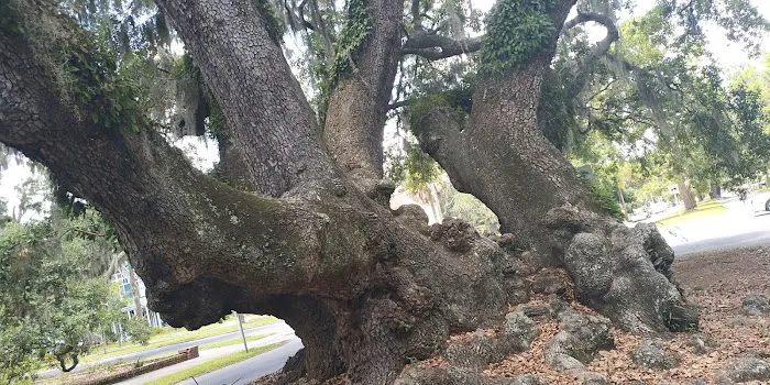 River Oaks Mobile Home Park 4