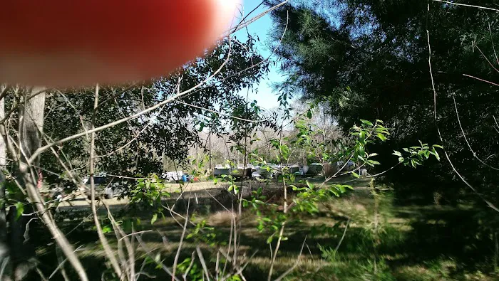 Lofton Creek Campground 6