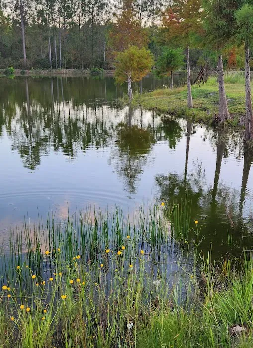 Grace RV PARK 10