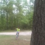 Shady Oaks Park