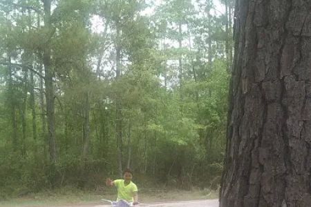 Shady Oaks Park