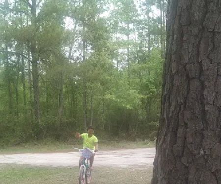 Shady Oaks Park
