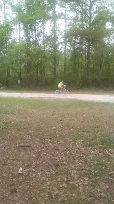 Shady Oaks Park 5