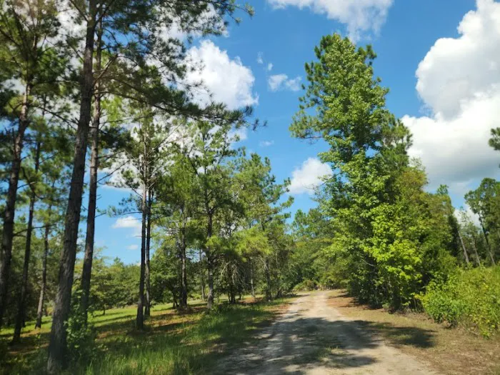 Hidden Lake Estates 9