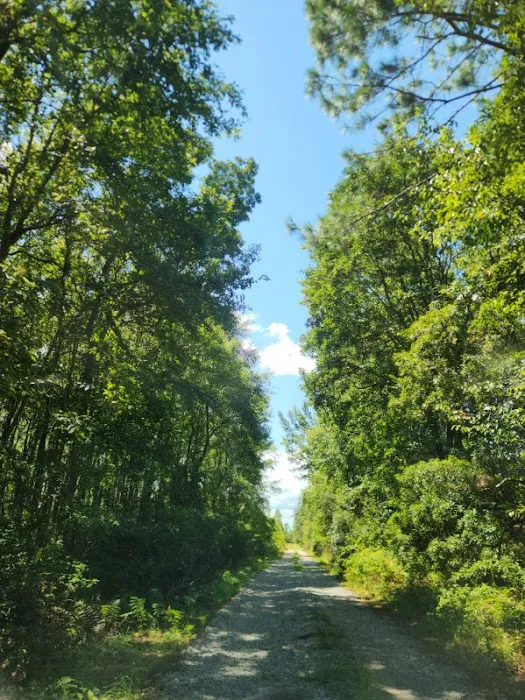 Hidden Lake Estates 10