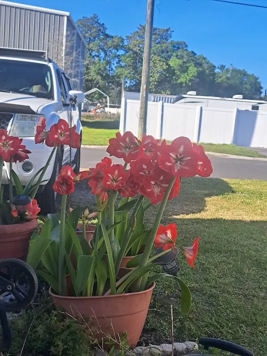 Singleton Mobile Home Park 6