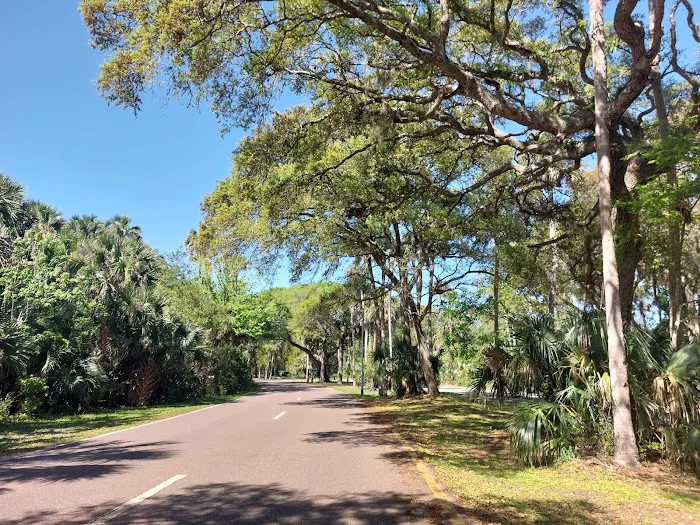 Hanna Park Campground 6