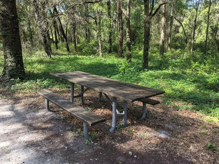 Santos Campground 5