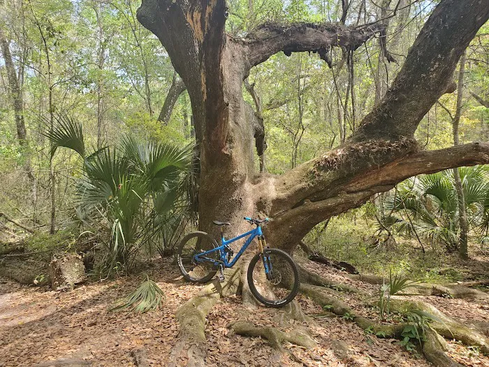 Santos Campground 8
