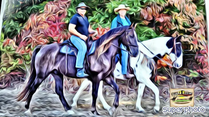 Hitching Post Trails 9