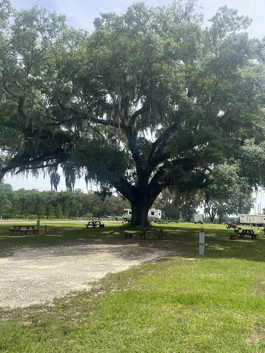 WhimCycle Trail RV Park 1