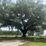 WhimCycle Trail RV Park