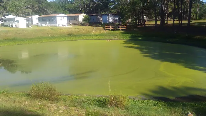 Golden Pond Village 9
