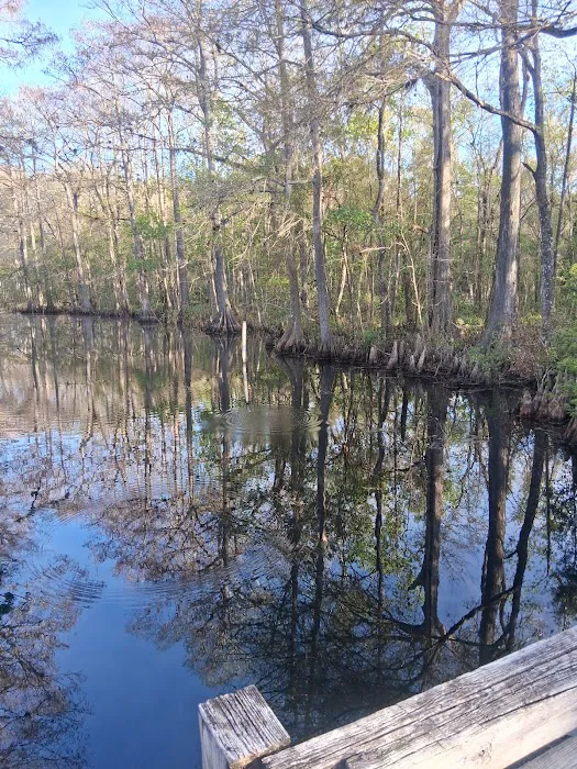 Flying Eagle Primitive Campground exact site 4