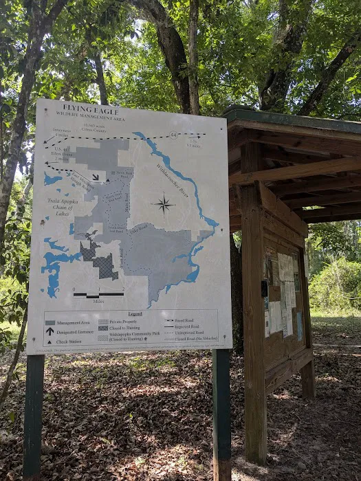 Flying Eagle Primitive Campground exact site 6