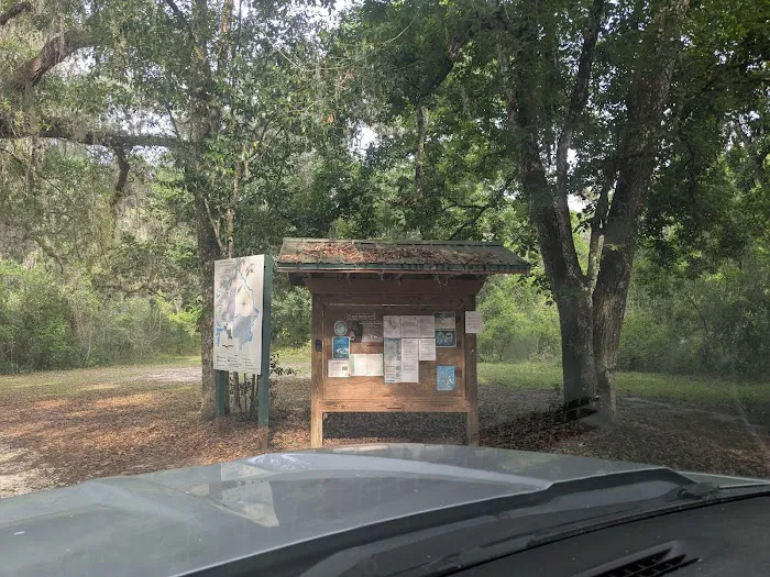 Flying Eagle Primitive Campground exact site 8