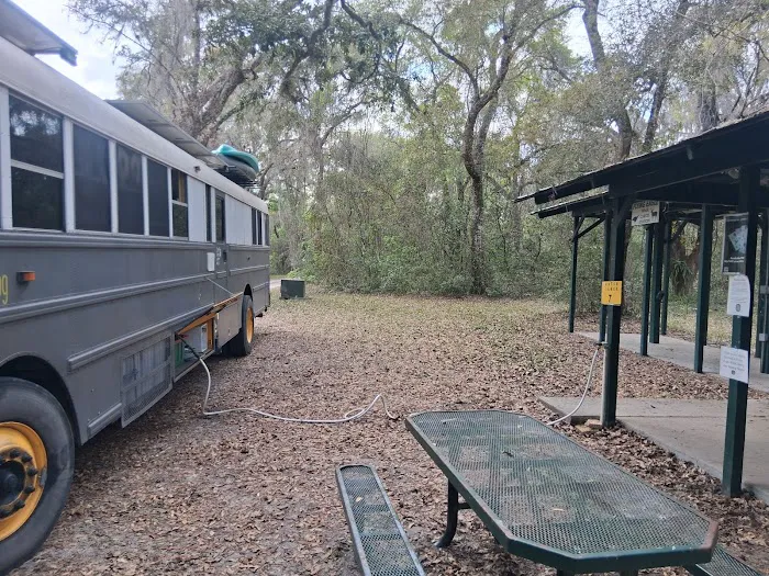 Flying Eagle Primitive Campground exact site 10