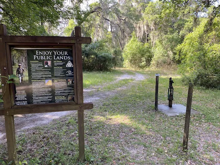 Flying Eagle Preserve Campground 1