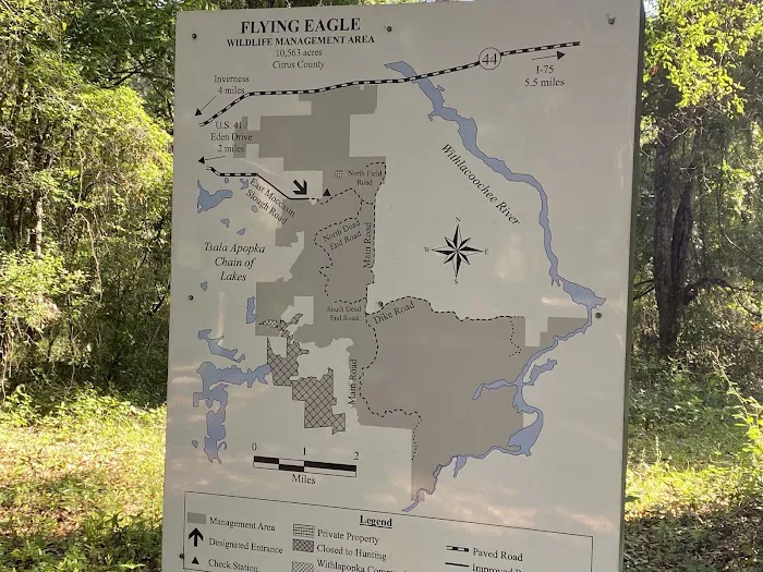 Flying Eagle Preserve Campground 6