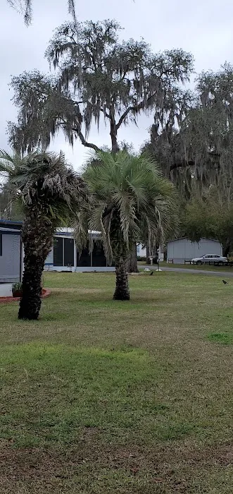 Fort Cooper Mobile Home Comm 2