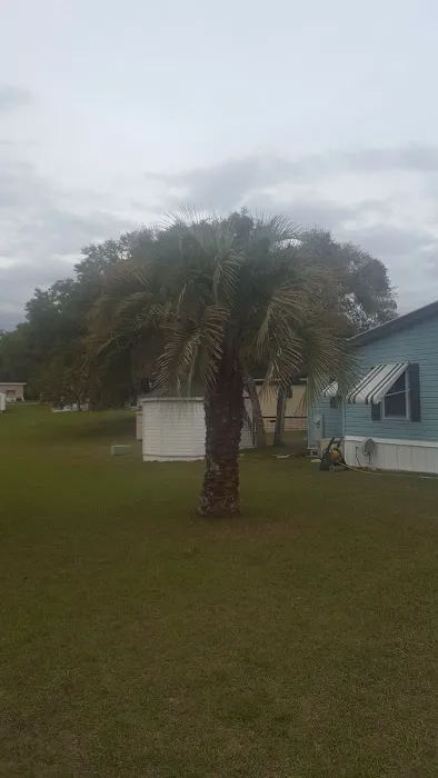 Fort Cooper Mobile Home Comm 10