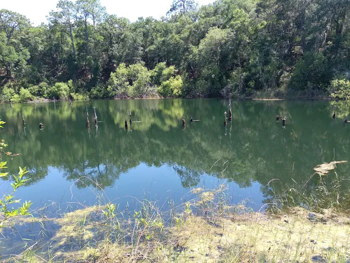 Mutual Mine Campground 2