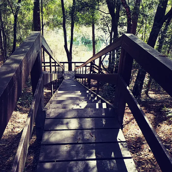 Mutual Mine Campground 3