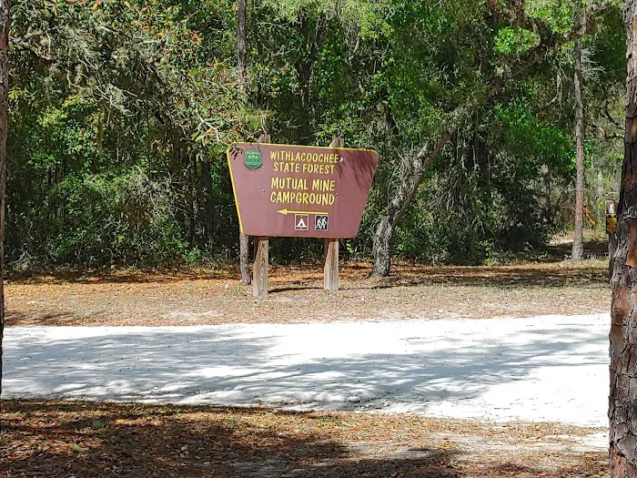 Mutual Mine Campground 1