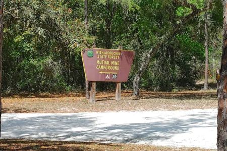 Mutual Mine Campground