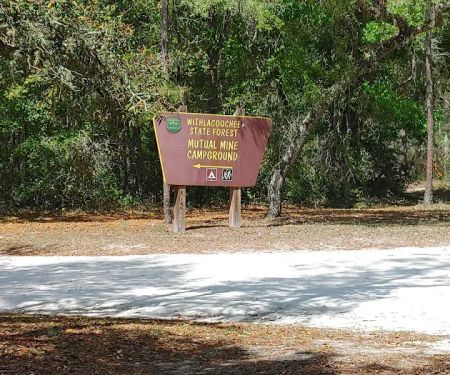 Mutual Mine Campground