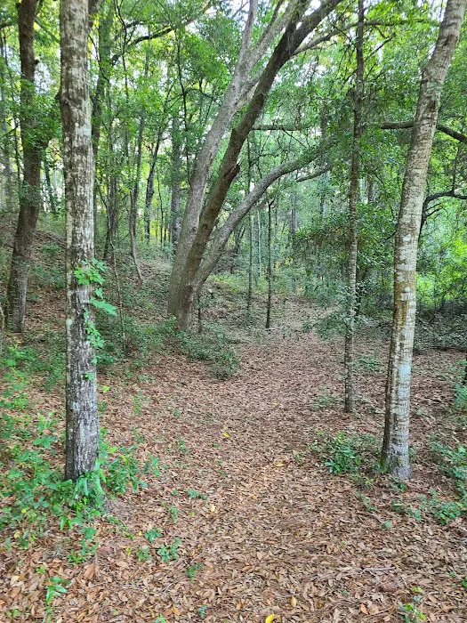 Mutual Mine Campground 4