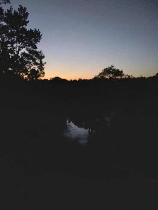 Mutual Mine Campground 6