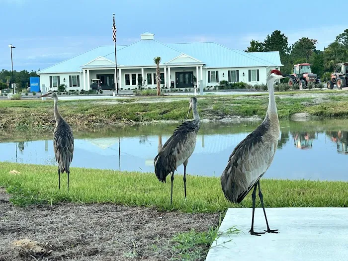 Stillwater Preserve RV Resort 5
