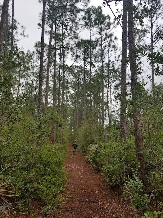 Buck Lake Group Campground 4