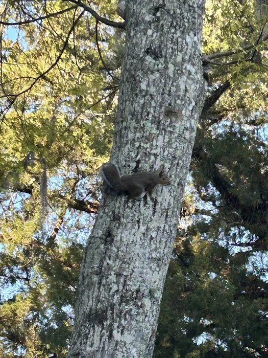 Wildwood Campground 6