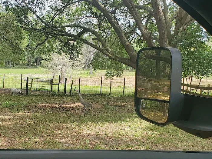 Wildwood Campground 7