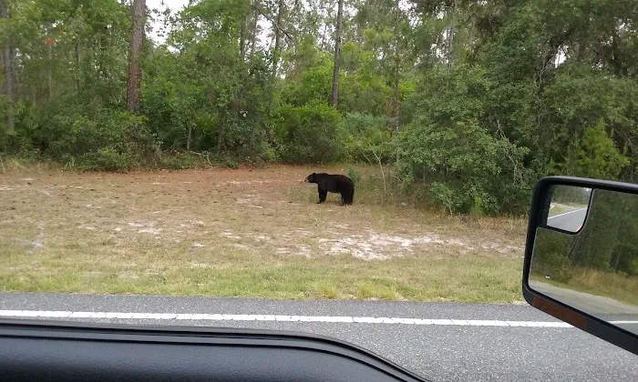 Wildwood Campground 9