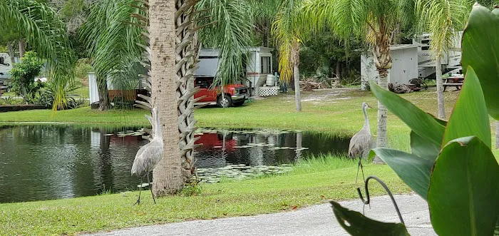Wildwood Campground 8